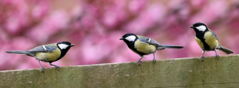 Warranty & Quality Checks