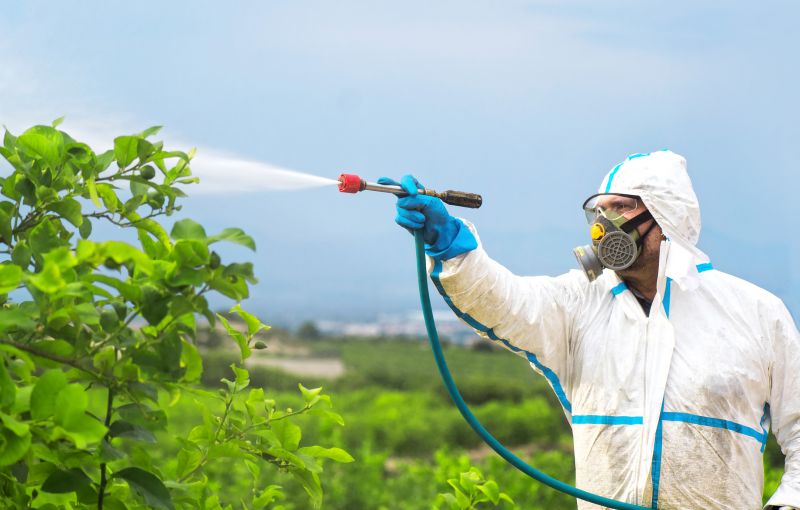 Spider Fumigation Service in Naperville, IL
