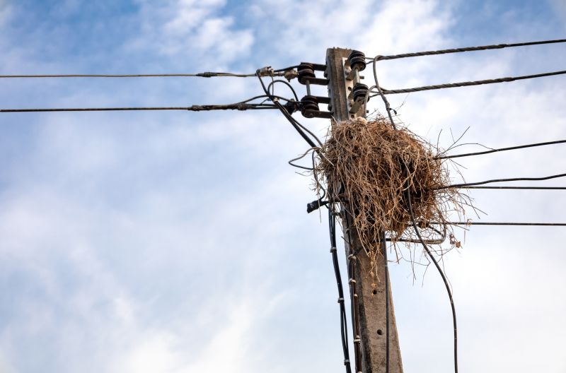 Prevent Property Damage